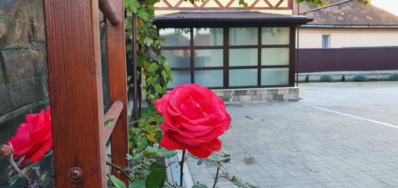 Yellow House سيبيو المظهر الخارجي الصورة