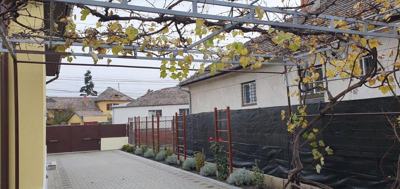 Yellow House سيبيو المظهر الخارجي الصورة