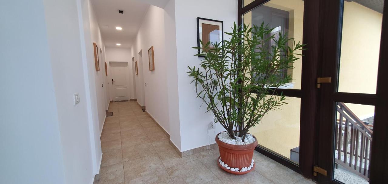 Yellow House سيبيو المظهر الخارجي الصورة